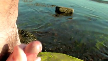 બાએબ: હોલીવુડની ગ્રૂપ આર્યા ફાએ પોર્નએચડી બીપી વીડીયો સેકસી વીડિયો પર તેના રૂમમેટને હૅગ કરે છે