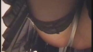 બ્રાઝર્સ: પોર્નએચડી સેક્સ બીપી વીડીયો સેકસી બીપી વીડીયો પર રશેલ સ્ટાર સાથે કિચન સેક્સ