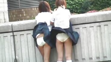 આ બિલાડીઓ તેમની જીભ સાથે રમવા બીપી સેકસી વીડીયો માંગે છે