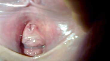 રશિયન સંસ્થા: બીપી વીડીયો સેકસી ઓપન પોર્નએચડી પર રસોડામાં ગુદા મૈથુન